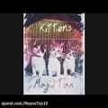 عکس بچه گربه ها - تیزر آهنگ جدید مجیدتک Majid Tak - kittens
