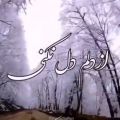 عکس آهنگ جدید و زیبا - حسین توکلی