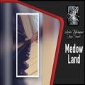 عکس Medow Land || اجرا اهنگ معروف مدو لند (زمین چمنزار) با گیتار و پیانو