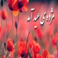عکس موزیک ویدئو _عید نوروز / کلیپ تبریک عید نوروز