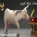 عکس موزیک ویدئو عید نوروز _ سال نو «۱۴۰۰»