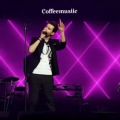 عکس کنسرت جدیدمهدی احمدوند
