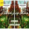 عکس آهنگ بی کلام فوق العاده زیبا / Experience از Ludovico Einaudi / موزیک تایم