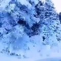 عکس کلیپ زیبای برفی/آهنگ زمستان