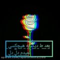 عکس مهراب خسته صدا