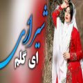 عکس اهنگ شیرازی شاد ای گلم اجرا با ارگ