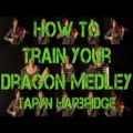 عکس موسیقی How To Train Your Dragon [یک ارکست یک‌نفره]