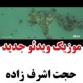 عکس موزیک ویدیو جدید حجت اشرف زاده / پیشنهاد دانلود ویژه