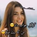 عکس کلیپ باحال شاخ