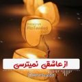 عکس کلیپ تبریک تولد _ تولدت مبارک ۲۹ بهمنی