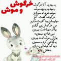 عکس موش و خرگوش