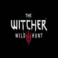 عکس Witcher 3 ost : Hunt or be hunted
