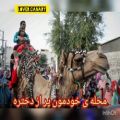 عکس ننه ننه من زن می خوام/آهنگ شاد و دلچسب بستکی(هرمزگانی) تقدیم به مجردهای ایران زم