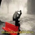 عکس اهنگ جدید محسن چاوشی بید بی مجنون ٢٠١٥