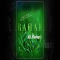 عکس Ali Shohani _ BAHAR 2