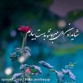 عکس ...بهاراومد و باید بخرم گل واسه یارم/ حسین توکلی..‌‌
