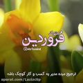 عکس فروردین ماهی ها . کلیپ متولدین فروردین. خصوصیات فروردینی ها