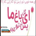 عکس ترانه شاد بیست هزار آرزو با صدای آقای محسن چاووشی - شیراز