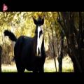 عکس موزیک ویدیوی زیبای Yıllar Utansın با صدای سجاد محمدی (خواننده ایرانی)// کدخدا