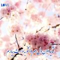 عکس آهنگ جدید حسین توکلی ...باید برای یارم گل بخرم لطفا منو دنبال کنید