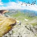 عکس آهنگ محلی / آهنگ محلی غمگین / دلشکسته احساسی