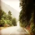 عکس ببار این نم نم باران || کلیپ زیبا || آهنگ زیبا || ویگن || طبیعت شمال || ماسوله