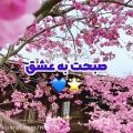 عکس کلیپ صبح بخیر برای واتساپ . آهنگ شاد