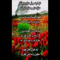 عکس سیزده بدر - زنده یاد جلال همتی