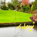 عکس اهنگ شاد و جدید ۱۳ بدر از مرتضی اشرفی