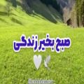 عکس کلیپ جدید صبح بخیر برای وضعیت واتساپ . صبح بخیر زندگی