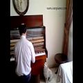 عکس سگ آواز خوان با پیانو-ایران پیانو iranpiano