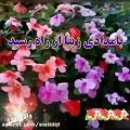 عکس به مناسبت 1000تایی شدنم ممنون از همه