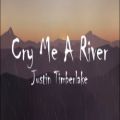 عکس بهترین آهنگ های خارجی- Justin Timberlake Cry Me A River شماره 33
