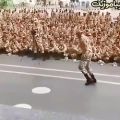 عکس کلیپ جنجالی سرباز/رقص سرباز