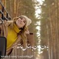 عکس کلیپ آهنگ عاشقانه . آهنگ جدید و شاد کسری زاهدی