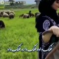 عکس آهنگ فوقالعاده زیبای محلی _ آهنگ مریم