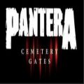 عکس اجرای عالی ترانه Cemetary Gates از گروه مطرح PANTERA