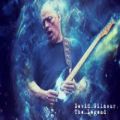 عکس فول کنسرت دیوید گیلمور David Gilmour - Live at the Royal Albert Hall 2006
