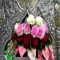 عکس کلیپ میلاد امام حسین _ ولادت امام حسین مبارک باد