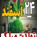 عکس کلیپ تولد ۲۴ اسفند - کلیپ تولد اسفند ماهی