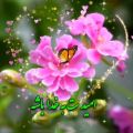 عکس کلیپ تبریک عید / نوروز ۱۴۰۰ / کلیپ شاد سال نو / عید نوروز مبارک