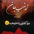 عکس کلیپ عاشقانه اسمی زینب | آهنگ عاشقانه | مناسب استوری