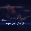 عکس امیر مقاره