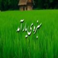 عکس آهنگ بهار . ویدیو کلیپ جدید عید . ویدیو موزیک نوروز ۱۴۰۰