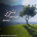 عکس خوشبختی یعنی . دلنوشته . کلیپ تکست احساسی . حرف دل