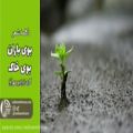 عکس شعر: فریدون مشیری، دکلمه: الهام حسینی ابهری