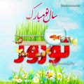 عکس کلیپ بهار بهار اومده باز . کلیپ عید نوروز ۱۴۰۰ برای وضعیت واتساپ