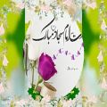 عکس تولد امام چهارم زین العابدین حضرت سجاد مبارک نماهنگ زیبا احمدرضاسازواری