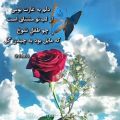 عکس دلنوشته زیبا . تکست عاشقانه