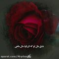 عکس کلیپ سال نو مبارک.دکلمه تبریک سال نو.نماهنگ سال نو مبارک